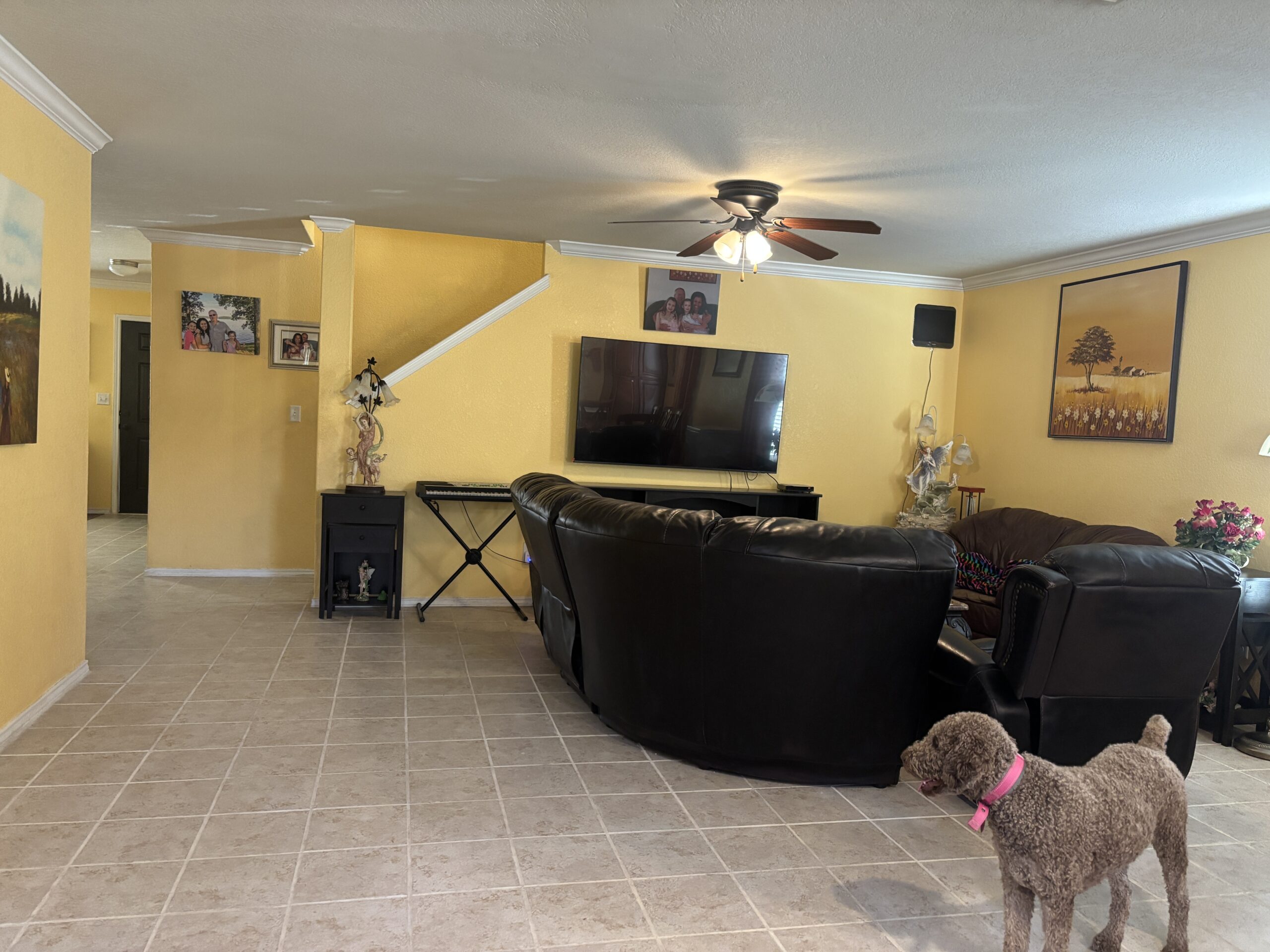 Summer Family Day Care