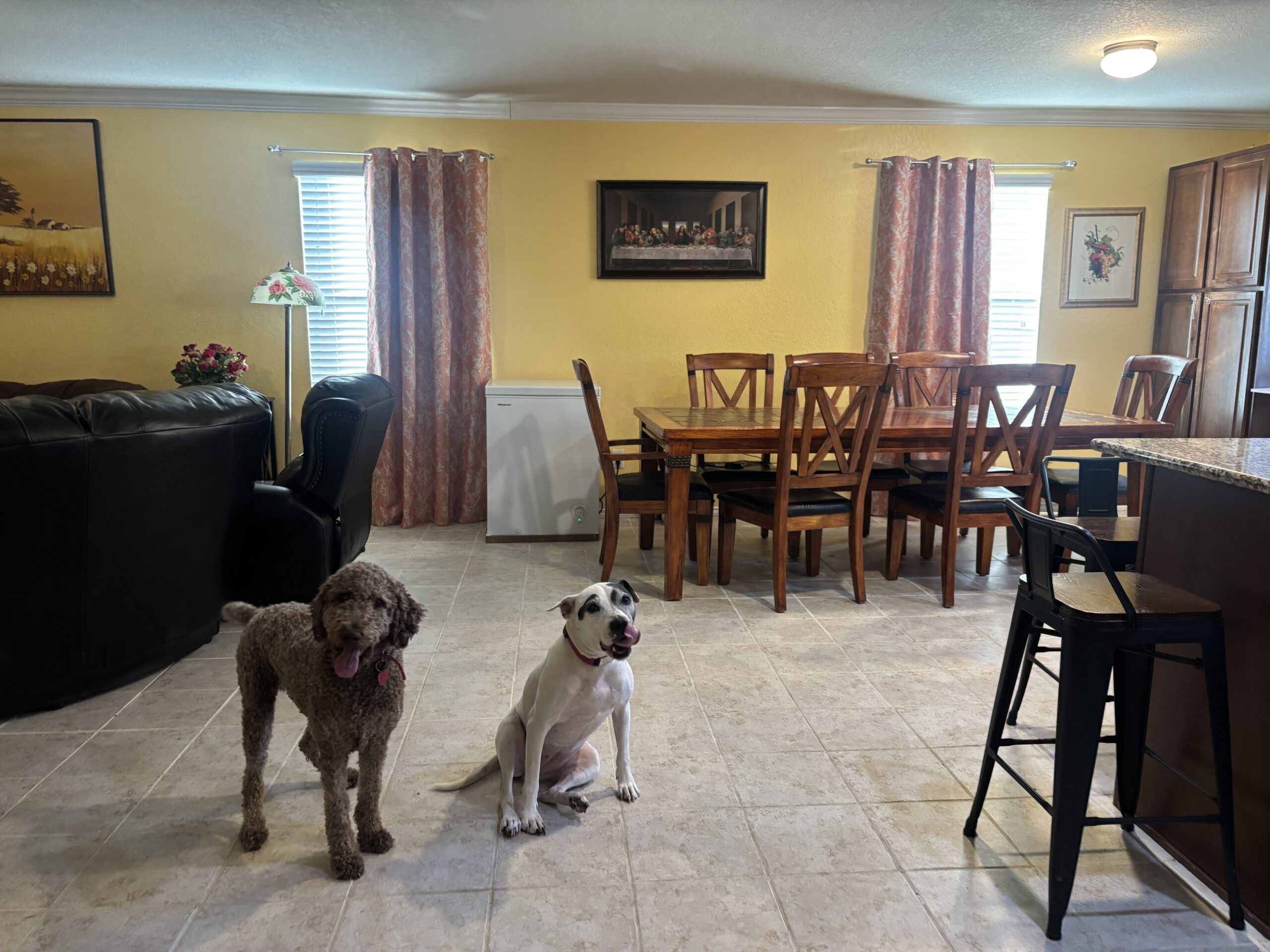 Summer Family Day Care